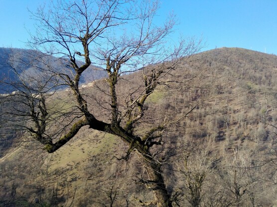 Dangerous Turns, Steep Route &amp; Gorgeous Nature Even in Winter