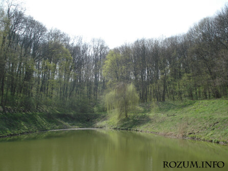 61c92fad9f3512cdaf4704b80d289daf8203802a4328e4616c0abf4e729b9cfa.jpg