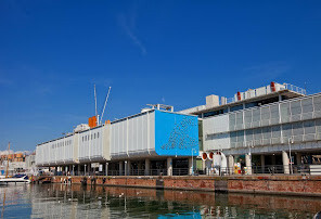 acquario