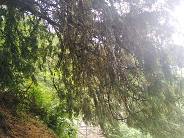 Story Of Cycling &amp; Nature Hiking: Enigmatic Path to Pristine Waterfalls (2)