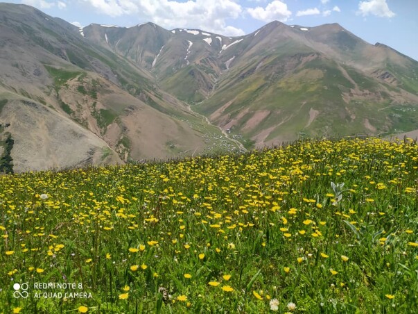Mountain village of “Shekar Dasht” in Talesh- Iran – So So many Flowers
