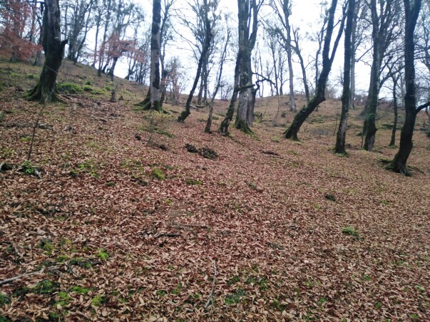 Gilan province, north of Iran, Mountain Climbing