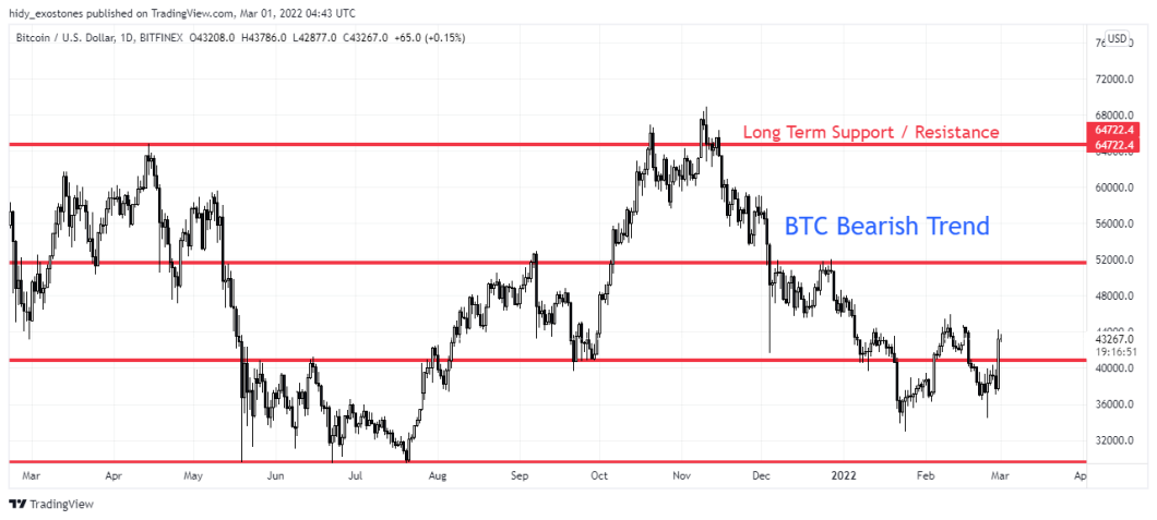 D BTC