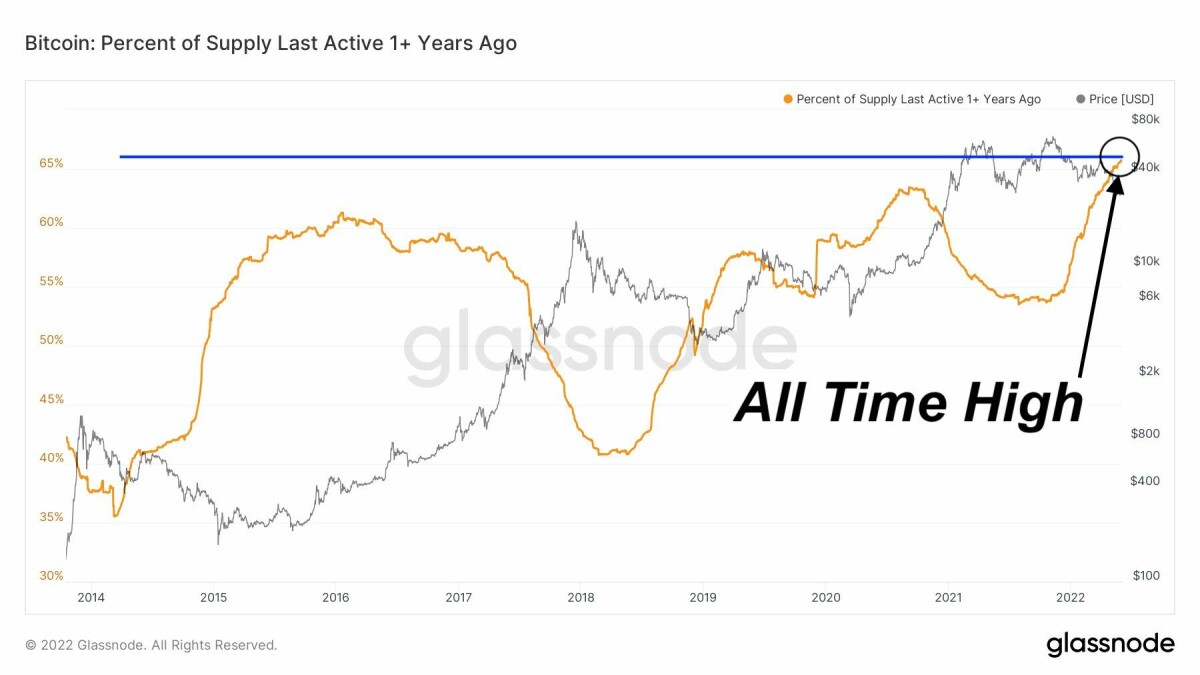 diamond hands bitcoin
