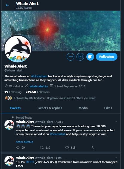 Crypto Whale