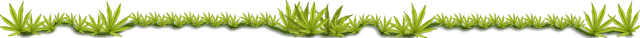 18b2d868a0b080e2c507851d59cdf4b6de70e35ad24058eecd96cb0bb8b82e4b.png
