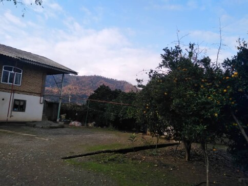 Photography of  Nature, garden, Real Life story