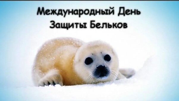 ab0c6abf3722941c9c4b8a0023cd4f4827e981910ff984f36cddf323f3bd66b6.jpg
