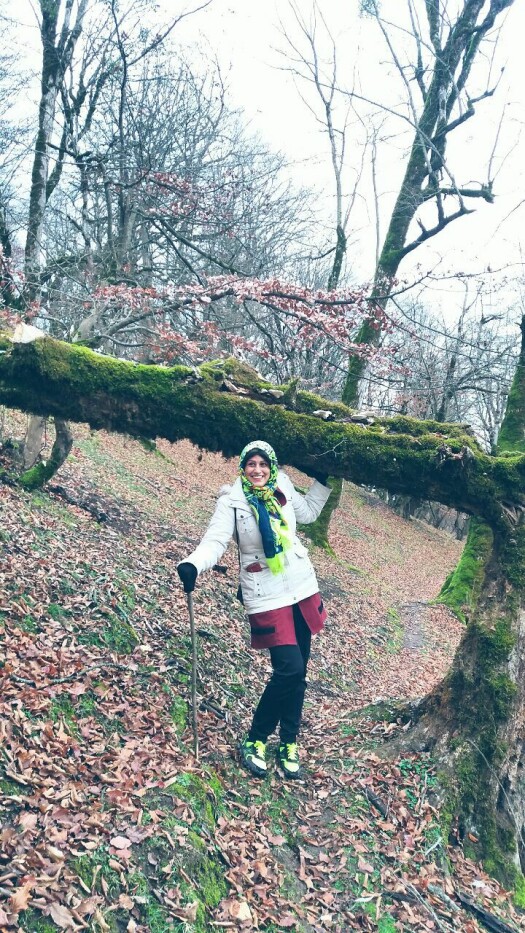 Fantastic Story Of Seeing Leaf Veins | The Wonderful World!
