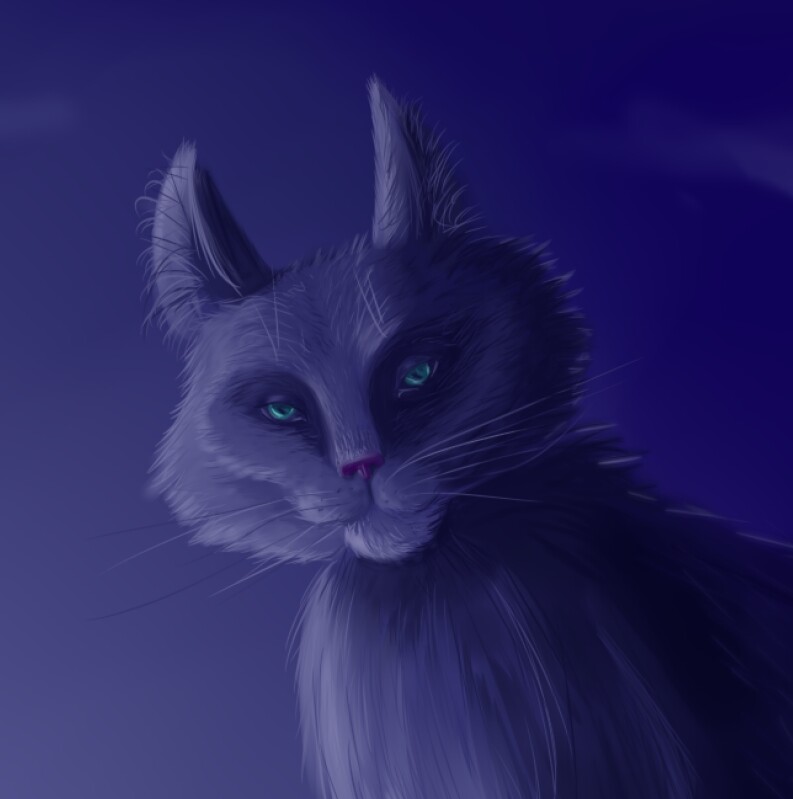 Step 5_Cat