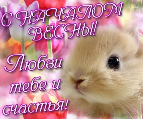 b6c69f1d5c92a7df817e20859f1ad3b95517a73c6d446b7d29395e15b40752bf.jpg