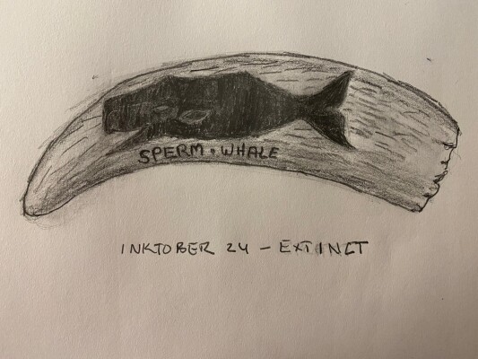 Scrimshaw of sperm whale - pencil drawing