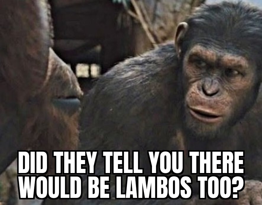 Crypto meme
