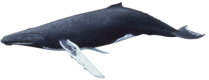 670d020922d049cc5ab4e7e3fe58efa7a43b88992336af2f48777965258f5964.png