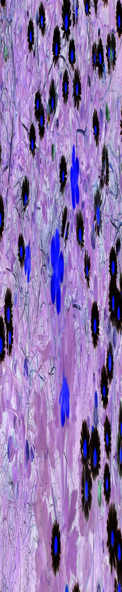 3143414223-176434dd8c82a48149343bccbcbbae6cd2796c8a41861d30a84841a883da985c.jpeg