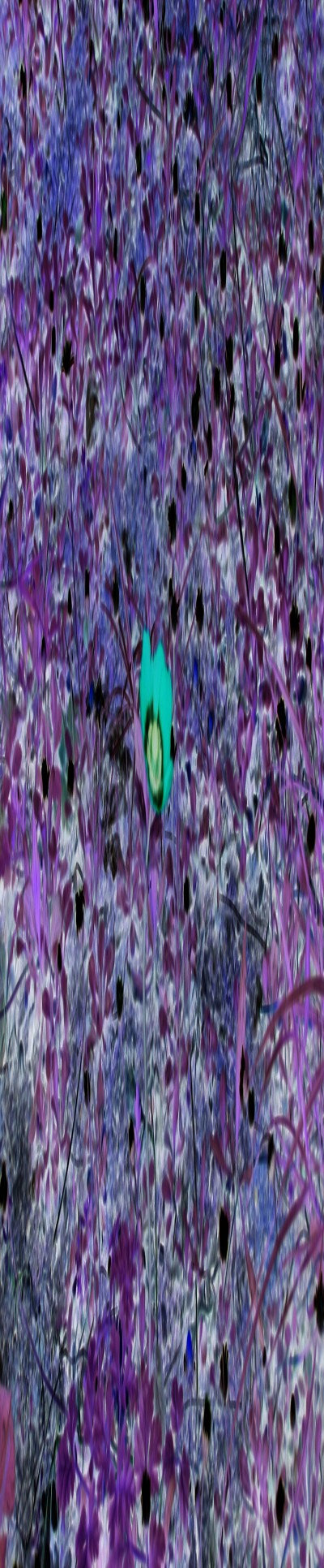 3143414223-1845788aae6d41942791c0f61d7a6baae1df2e091f2d5a570e69953d1d1a0862.jpeg