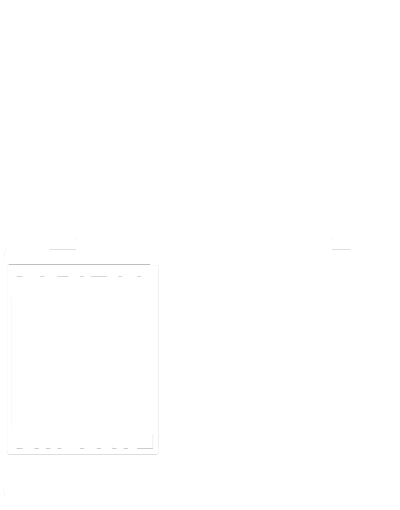 3143414223-2d5eafb1c981336b544e17e6a12e9a13b57f5ece1ed4248bc147cc88deb57c6a.png