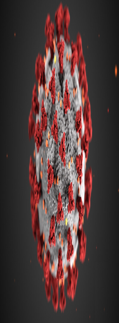 3143414223-32c56da0d89726cb8369d03c5ce99f8041862baaf2ab9f0d0f6d1c735715211c.jpeg