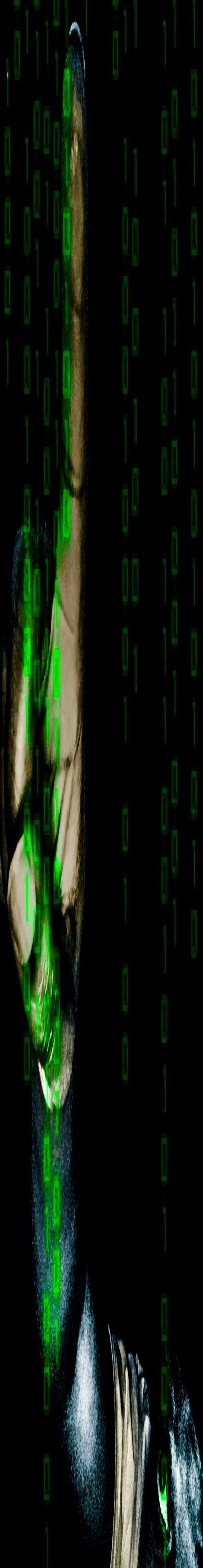 3143414223-66ef83e97f20c07848df917b1dbce544550e5e3eb652140cc546618869efa695.jpeg