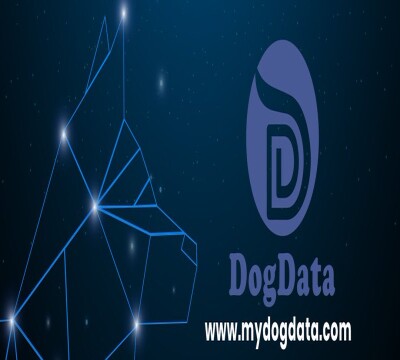 3143414223-6da91d84d1b1130e98c485de54a488967d591ed2ad644cb31a8c59170877cb5e.jpeg