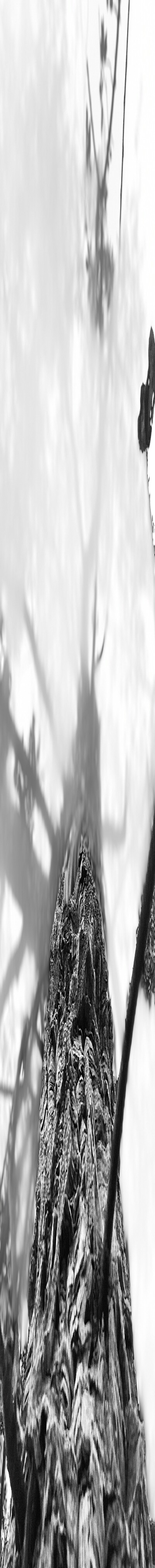 3143414223-c1c3a1fbc6a4a4034042be6855ac14c52232e607749d1a646ea3ec453e06853d.jpeg