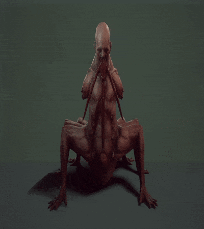 3143414223-c37149cdd00c4e4209b912b7ab35a9f73f38eec7fe642394e7ea7ee94d520bc7.gif