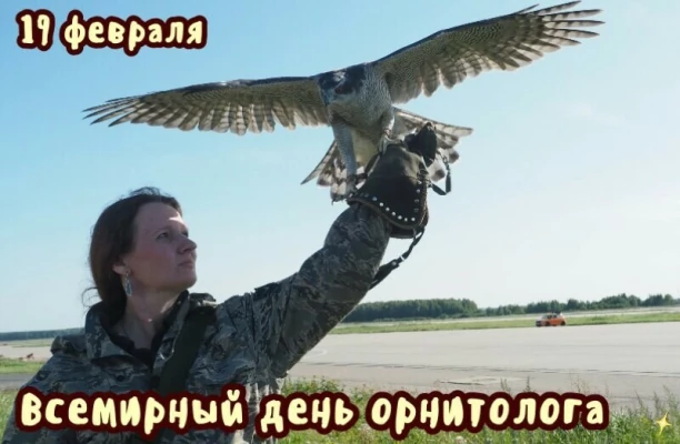 eff5c130cad07c9bf53987d072a76ab3e28702bfe40b09d80413618cffc944ce.jpg