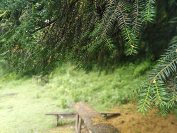 Story Of Cycling &amp; Nature Hiking: Enigmatic Path to Pristine Waterfalls (2)
