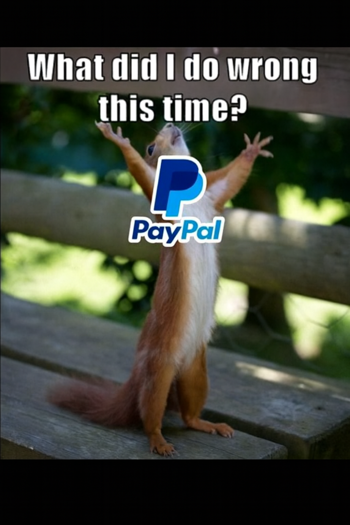 an image of a frustrated individual claiming to the heaven why Paypal charges abusive fees