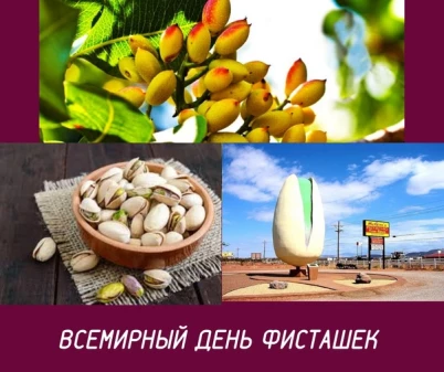 7d61c9190ffa309e491e3e06b954678ed6ae9e2ea403a5fa23eb59a7a6c60fb3.jpg
