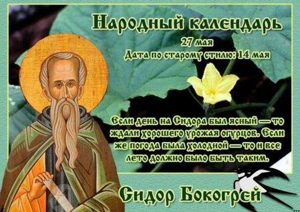 9a914c9285a373d016fbcc3fe99053903d299fbc0e7b3a5c066bc9a0696c1ee9.png