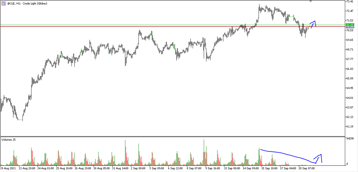 Crude Oil