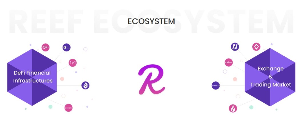 Reef Ecosystem