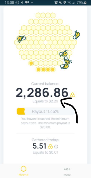 honeygain