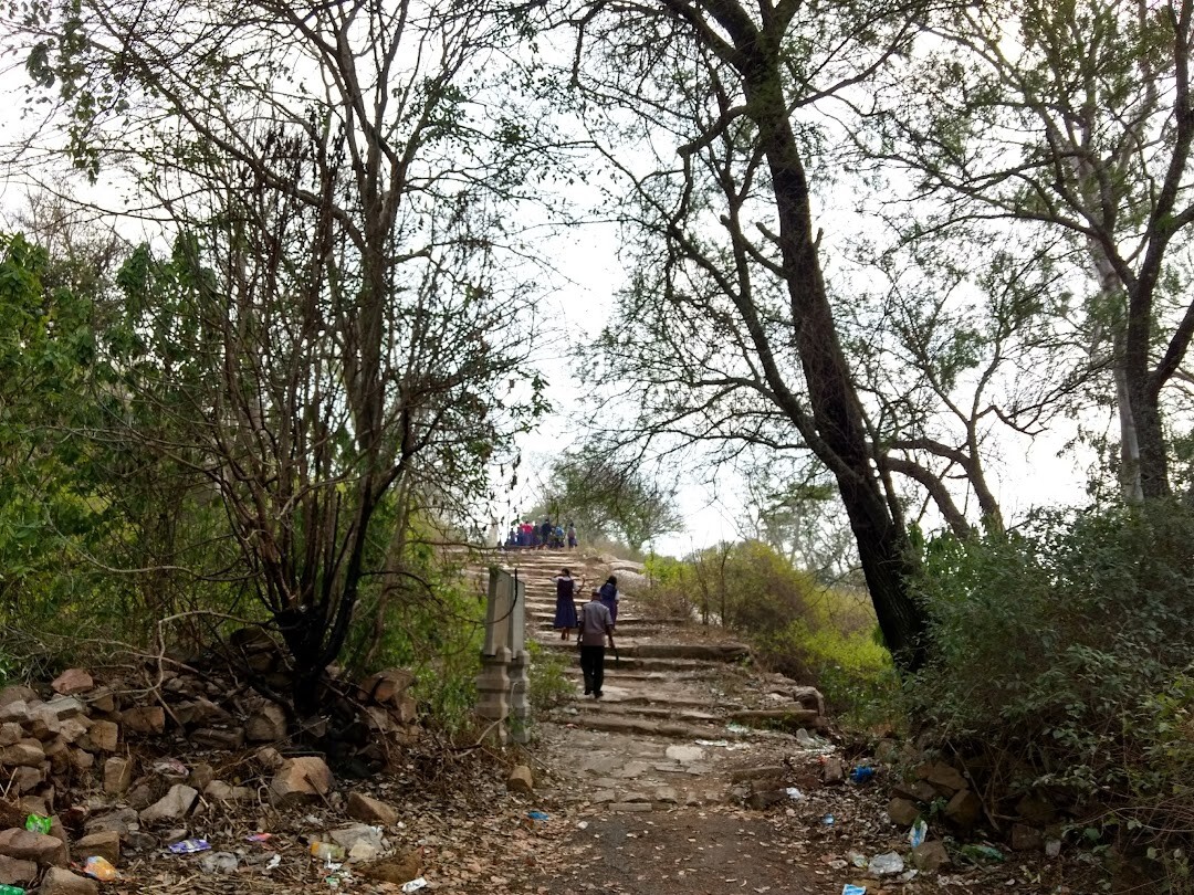 travel, photography, india, nature, lifestyle