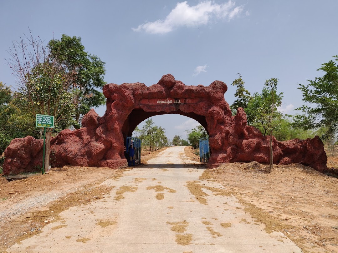 travel, photography, india, nature, lifestyle