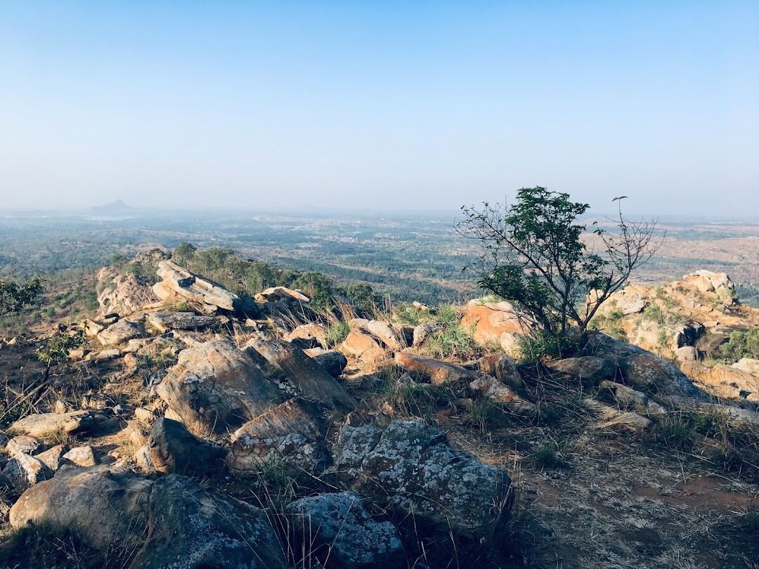 travel, photography, india, nature, lifestyle