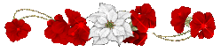 9cb05a21b79febc1958c268a0d625d65878c03d94a3a923529431d69fc2fb2d3.gif