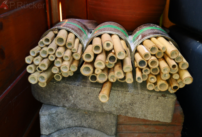 ready bee-houses