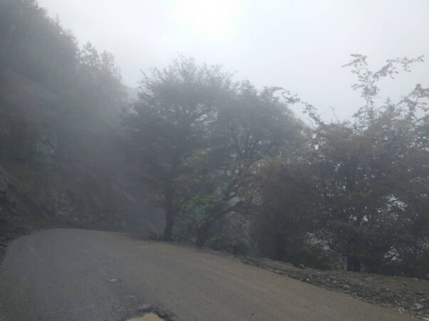 Sport, Cycling, Photography of  Nature