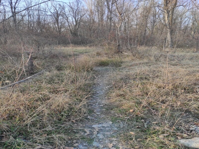 1efca55617cc7a41df517d7055f9ffa8c9ae886078c2aad9d17d36ea37bdb675.jpg