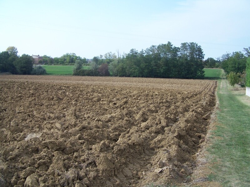 b5c381cada1cc38e2b8bd7ada85ad9c15f0adce963df2f426296d71687dd9d35.jpeg