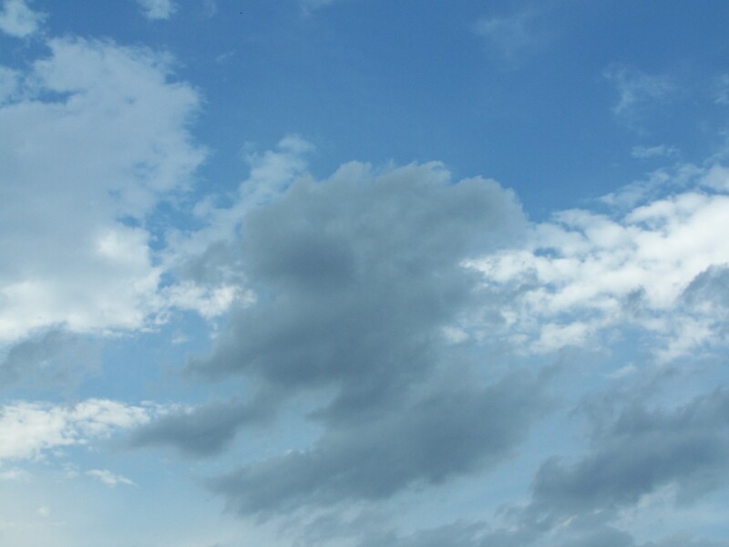 bdd9f1a5c51b3b04b494fb1c1aac92b5813c2b8b80a5c59a4b0ac19784c4b182.jpeg