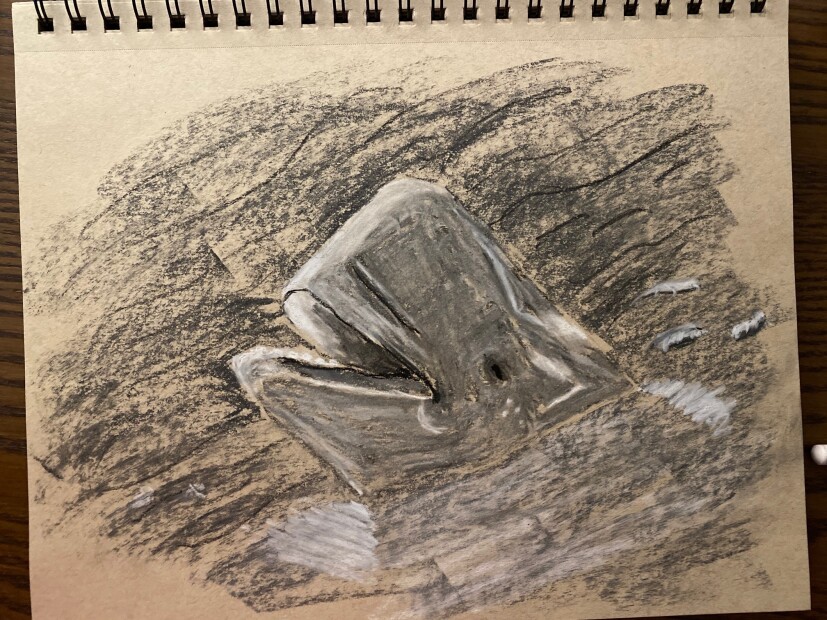 Playful Beluga - charcoal and chalk on tan paper