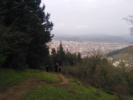 Morning Hike among Lady Friends, Photography of Nature