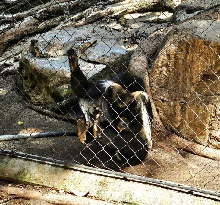 San Diego Zoo