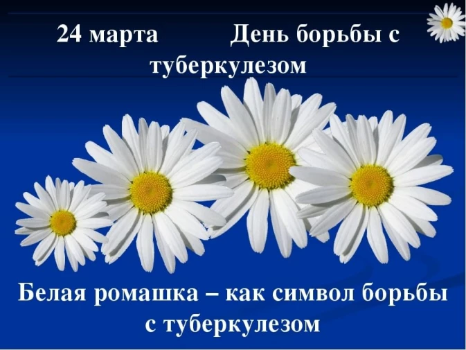 19ef738a4c9f65ac189c1a32c730810a10140a254debd98fb9ce01595766f346.jpg