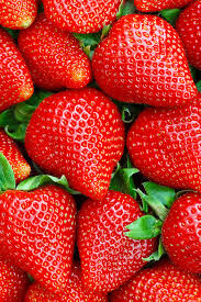 fragole
