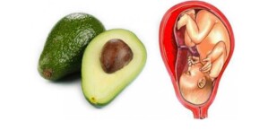 avocado