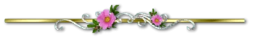 26c39d847d68edb7c0e7c16b1788a32fb3ebebb10dd190e0f9f49be3692cabb3.png